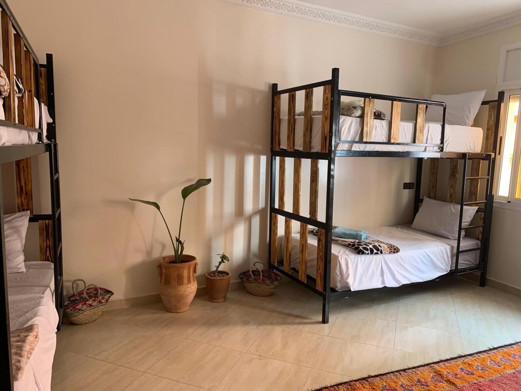 Chill Surfer Hostel Tamraght المظهر الخارجي الصورة